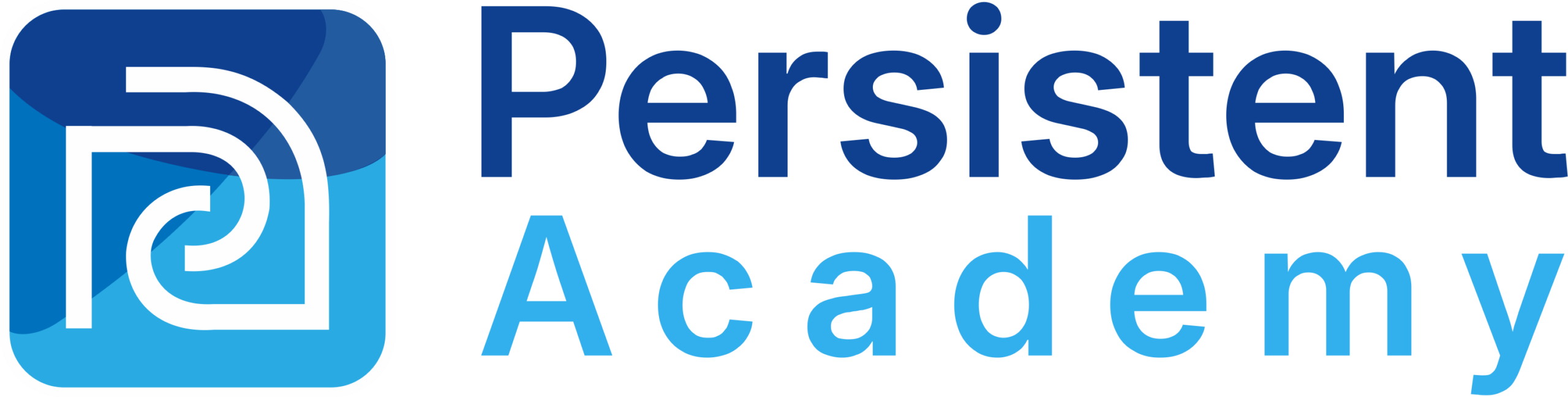 Persistent Academy Persistent Academy